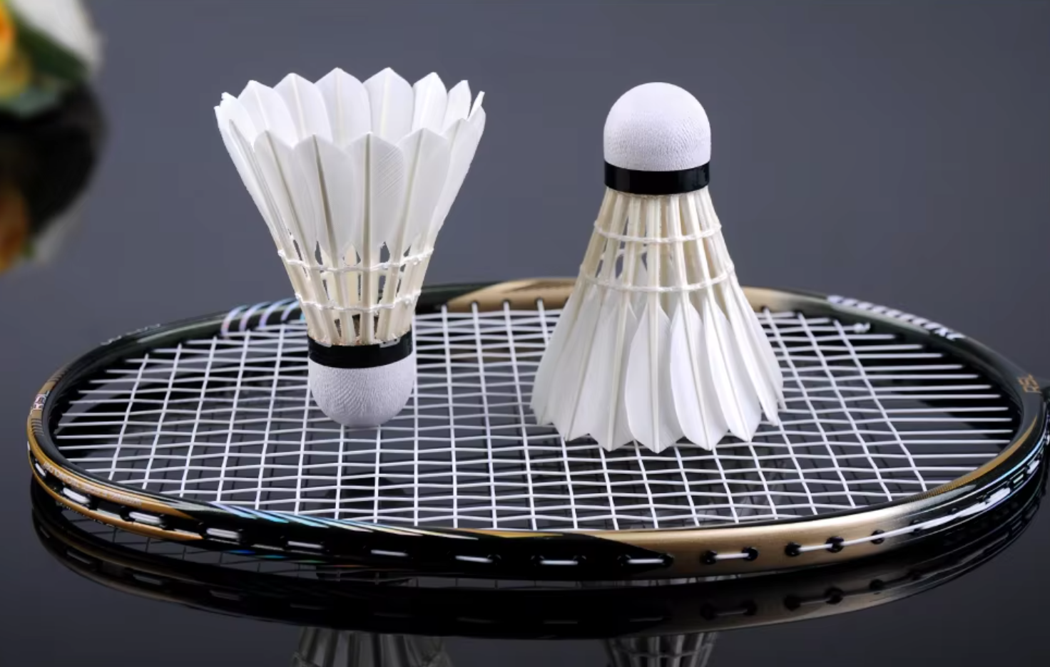 RSL Ultimate Shuttlecocks (BEST of RSL)